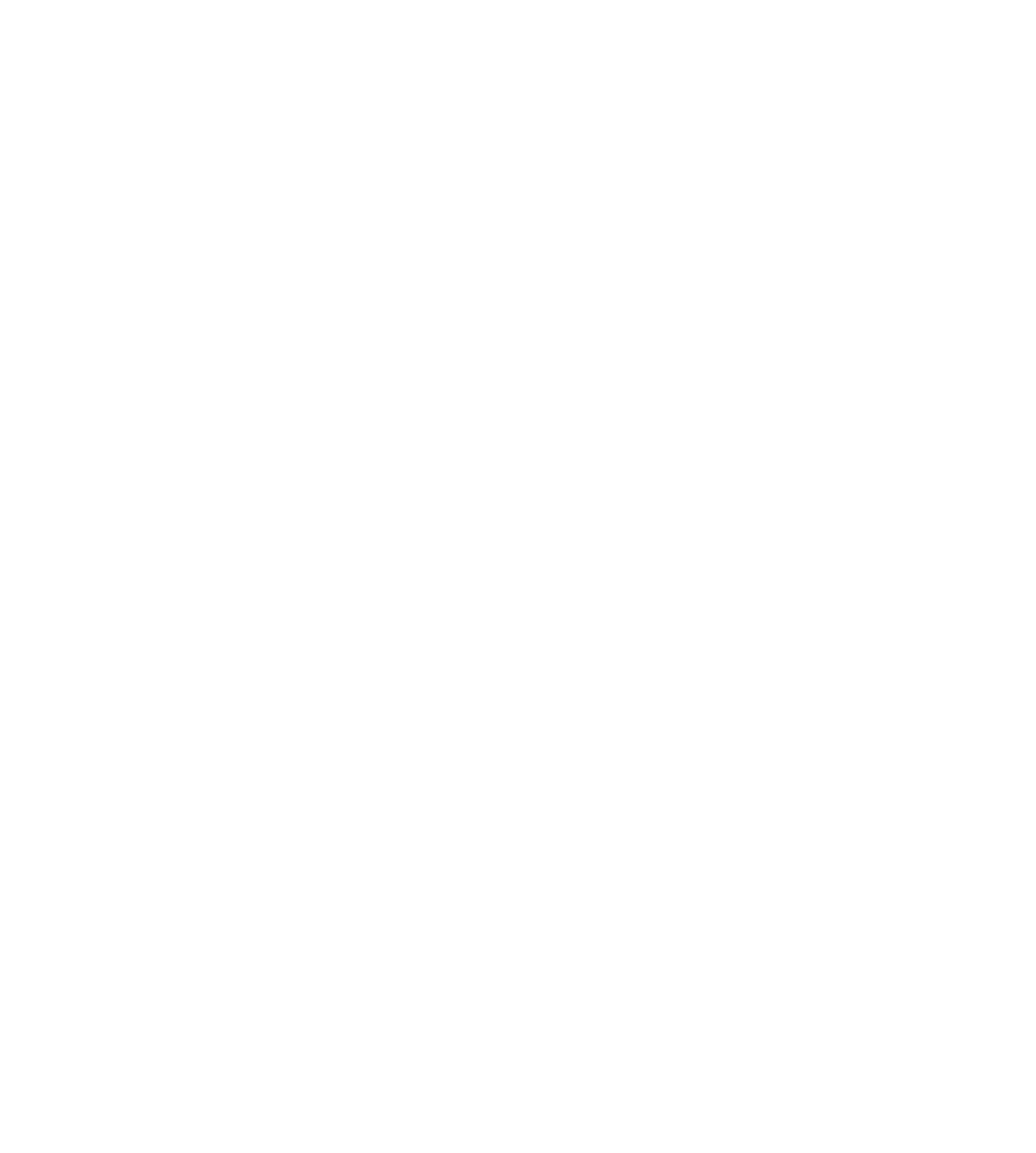 TripAdvisor Best of the Best Logo Award